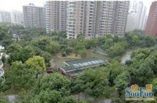 近地铁中间楼层,电梯房产权清晰新上房源