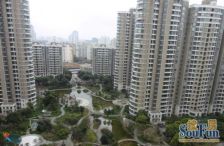 近地铁,电梯房现场实勘,新上房源