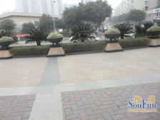 清水洋房 中间楼层 看湖 视野好 横厅