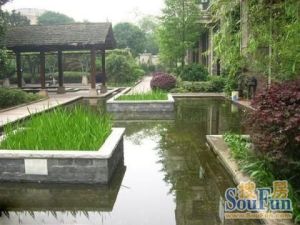 融科三万英尺4室2厅南