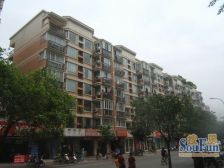 巴黎阳光 3室2厅 南