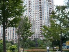 精装 世纪大道 园林小区