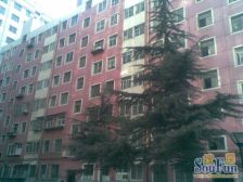 西关十字北园小区两室一厅天燃气 暖气 齐全