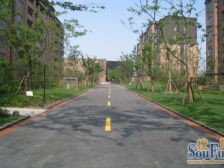 前滩TOP小区低密度高绿化洋房社区新杨思板块