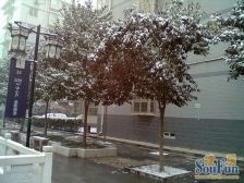 全明格局,厨房卫生间都带窗户,没有浪费面积。