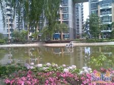 杨思前滩+次新商品房+三房两卫+电梯中高区