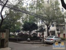 雅礼儿童医院双地铁单位大院枫树山诚心出售