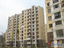 可赏泗泾塘河景,大景观阳台,看了都说好