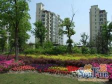一楼带大花园,满五年 接受置换 看房有钥匙 随时约