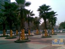 南滨路,视野宽阔,采光充足,配套设施齐全。