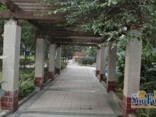 光电路 金色家园(南岸)三房97万