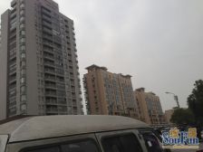 品质物业 现场实勘 精装,无抵押 急售房源