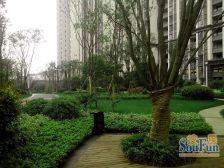 保利可爱岛 4室2厅 南