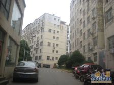 湖畔嘉园 3室1厅 西南 西北