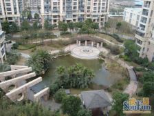 高行·绿地崴廉公寓 位置好 采光好 诚心出售