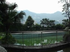 朝天门一线江景端头户型,看山看水还看桥。