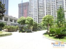 中南世纪城 地处中南CBD 经济 配套齐全