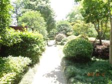 房子是繁华地段,装修很好 可以拎包入住