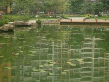 师大现代花园 1室0厅 东南