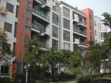 100多平,超大花园