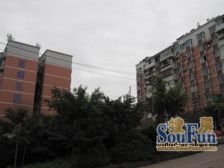 茶园新区 富翔花园二房55万