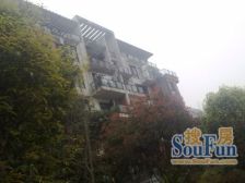 汽博经典墅区中户 2+1结构 花园80平