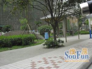 国栋南园五星城3室2厅东南