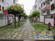 四房三厅三卫,有60平露台,户型方正,近门口。