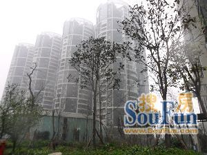 阳光舜苑3室2厅西南