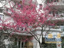 铜元局 融侨风临洲A区四房126万