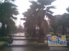 人和 渝环苑三房