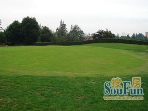 高尔国际1期 7室3厅 东南