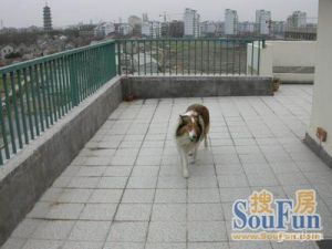 小区居住舒适,三房南北通看房提前约
