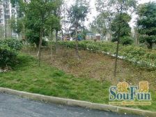 东南朝向三房,视野好,业主急售