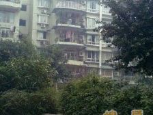 老城区 渝南花园一房