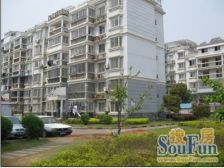 红谷世纪花园D区 3室2厅 南