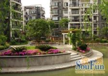 火车站 万达广场 日成奥运城 6室复式朝阳