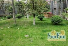 英伦世家 1室1厅 东南