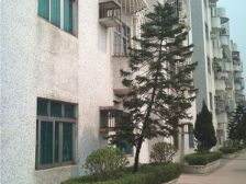 2房1厅 业主诚意出售 采光足 视野开阔