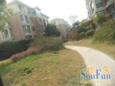 凤凰莱茵苑163平精装修四房,诚心卖