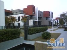 精装东南向三房 采光靓丽 安静 望花园