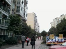 谢家湾 自由左岸一房