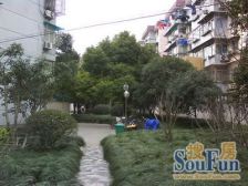 上钞桂花苑 1室1厅 西南