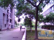 现代庄园 南北通透,采光好 装修好,环镜优美 视野好,诚心出售