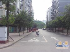 东林雅苑 3室2厅 西