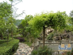 蜀秀青城4室2厅北