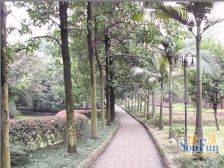 大坪医院下面,楼下肖家湾公交站,出行方便