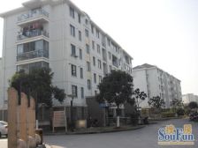 业主诚心卖,房子楼层好位置好。不出门就可以樱花