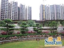 万科物业管理人车分流 装修保养新小四房