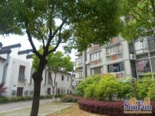 中式风格,小区中心位置,大开间,采光充足,独立电梯